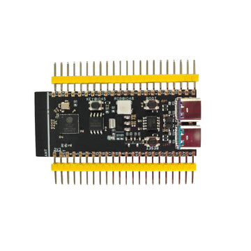 ESP32-S3 Dev Kit