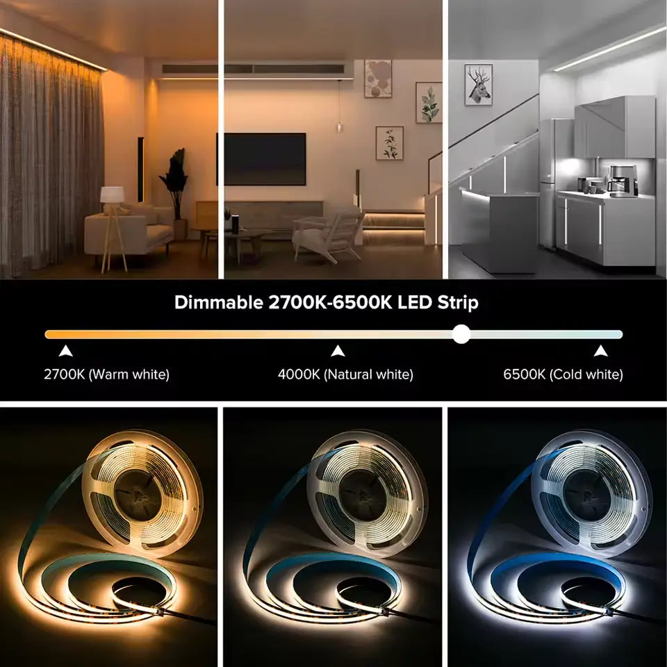 FCOB 12V CCT LED Strip