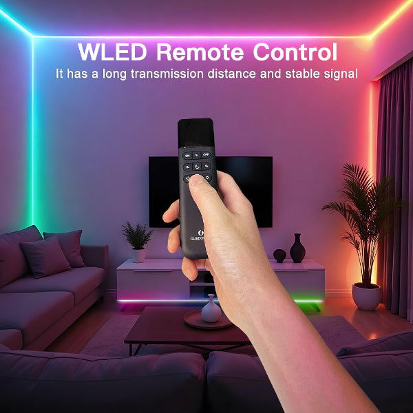 Elite 2D-MU WLED Addressable Controller