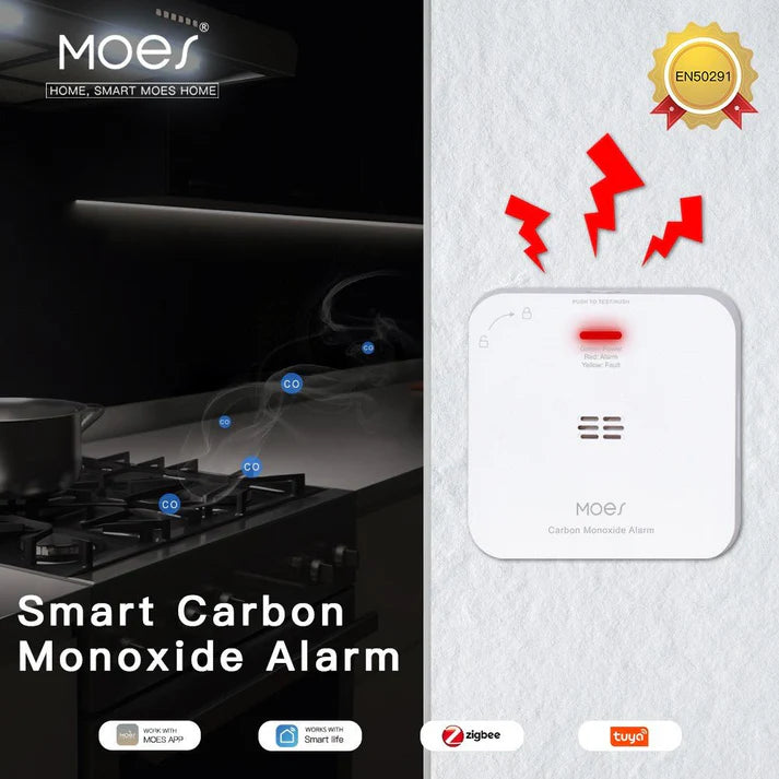 Moes Carbon Monoxide Alarm