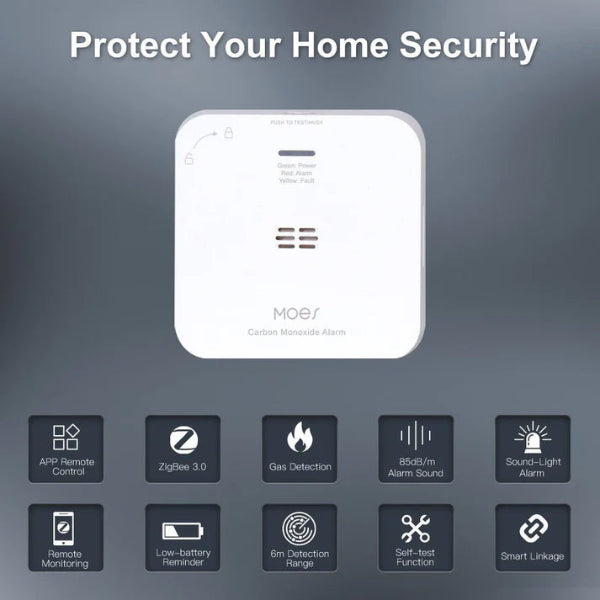 Moes Carbon Monoxide Alarm
