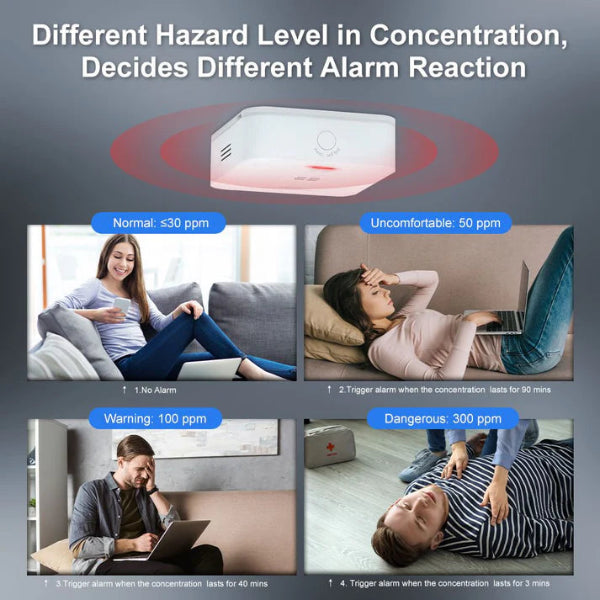 Moes Carbon Monoxide Alarm